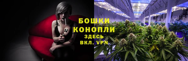 твердый Белокуриха